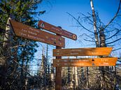 Wander-Wegweiser in der Nähe des Brockens im Harz von t.ART Miniaturansicht