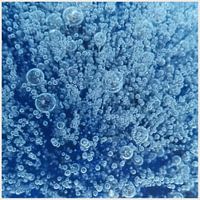 Bubbels