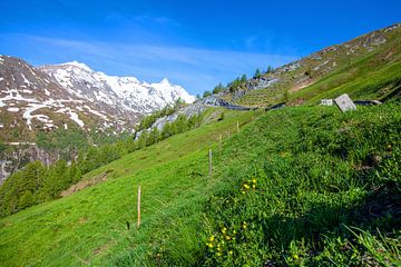 Le printemps dans la région du Glockner sur Christa Kramer