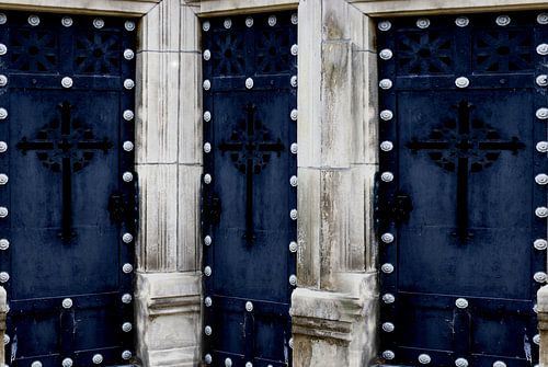 The Doors van David Pichler