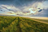 Sentier pédestre vers les nuages
