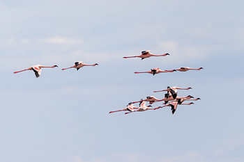 Flight over Natron
