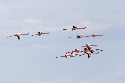 Flight over Natron