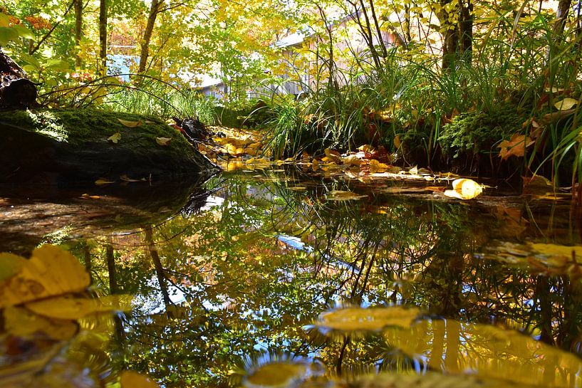 A stream in the forest in autumn by Claude Laprise