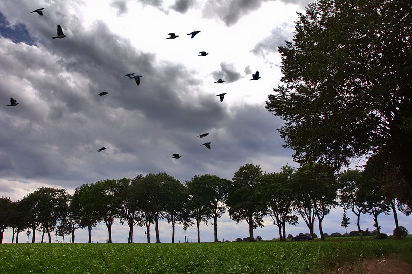 Bomen 5 van Edgar Schermaul