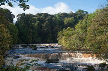 Aysgarth falls Yorkshire van Richard Wareham