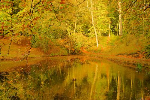 Herfstkleuren weerspiegeld in vijver