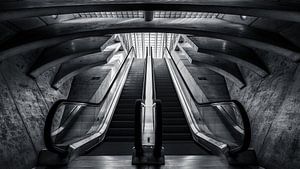 Escalier Calatrava