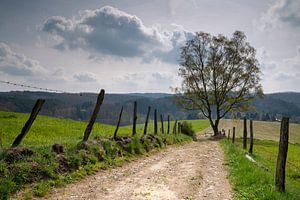 Bergischer Panoramasteig, Bergisches Land, Deutschland