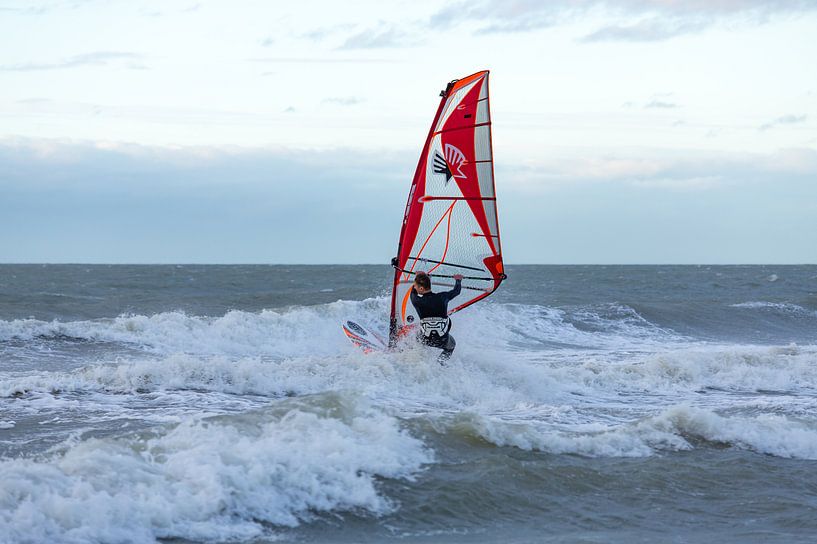 Windsurfer by MSP Canvas