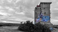 Grafitti in de duinen van Roy Kosmeijer thumbnail