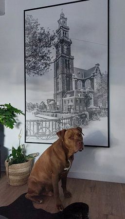 AMSTERDAM Westerkerk & Prince's Canal