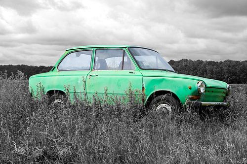 Daf in landschap