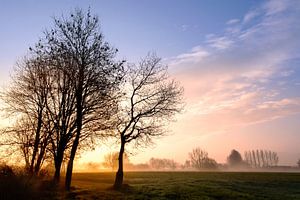 Lever du soleil dans le Brabant septentrional