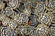 ARTICHOKES van KUNST ART thumbnail