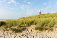 vuurtoren  in de duinen
