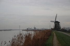 Molenviergang in Zevenhuizen van André Muller