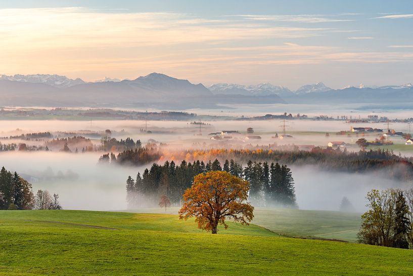 Herbstlicher Blick von Börwang auf das Illertal, den Grünten und die Allgäuer Alpen von Leo Schindzielorz