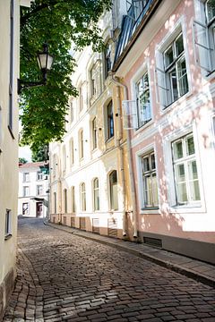 Steegje in Tallinn, Estland van Ellis Peeters