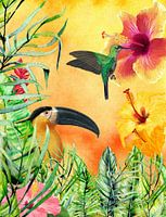 Birds