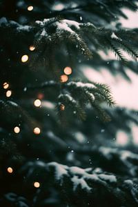 Winter Impressions No 11