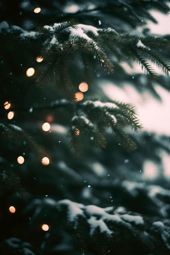 Impressions d'hiver No 11