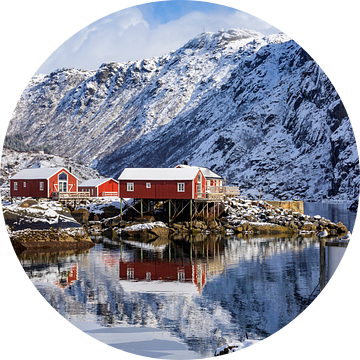 Traditionele visserswoningen op de Lofoten in Noorwegen van gaps photography