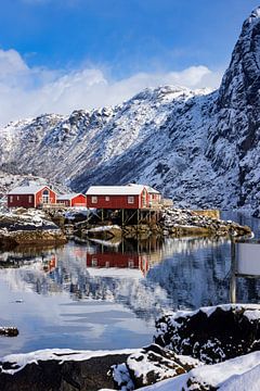 Traditionele visserswoningen op de Lofoten in Noorwegen