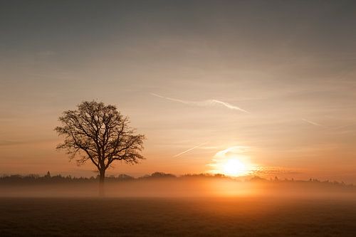 Zonsopkomst in Twente