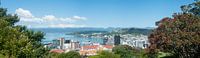 Wellington New Zealand Panorama