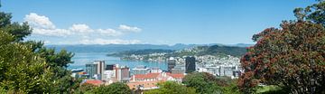 Wellington New Zealand Panorama van Richard Wareham