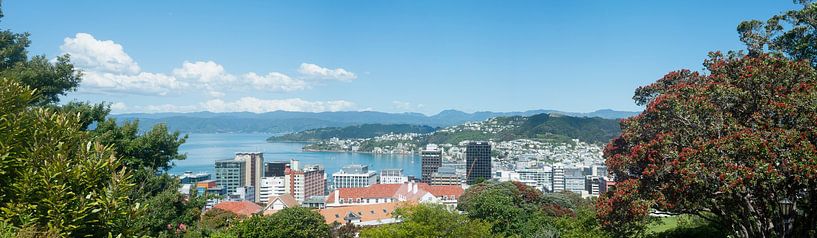 Wellington New Zealand Panorama van Richard Wareham