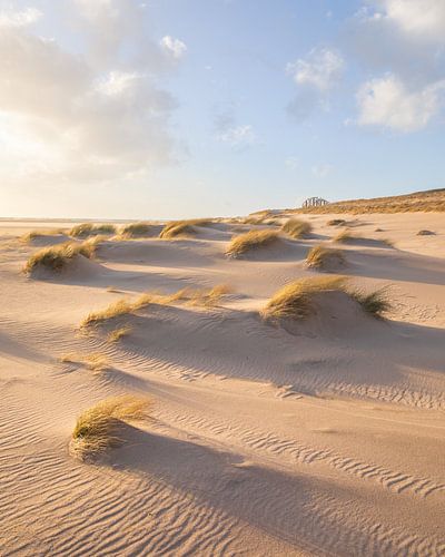 Golden Dunes!