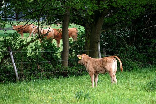 Was ist da drüben los?