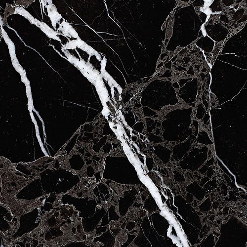 NETWORKED BLACK & WHITE v5