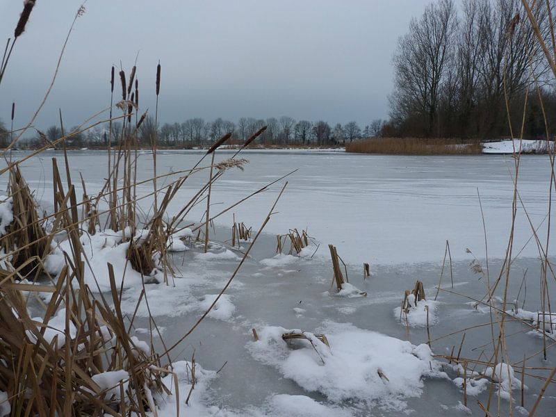 De ijsplaat by Ronald Wakker