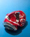 Pop-Art. Coca-Cola-Dose von Rasenmäher zerquetscht von Floris Kok Miniaturansicht