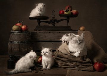 Kat in de zak (moederpoes met haar kittens) van Elles Rijsdijk
