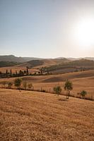 Toscane - Italië