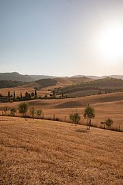 Landschaft der Toskana von Tessa Hoogenboezem
