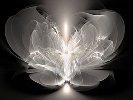 Ange de pureté sur Shirley Hoekstra