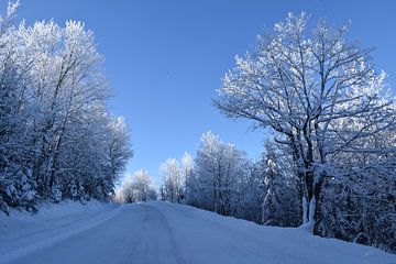 The route to the northern mountain range in winter by Claude Laprise