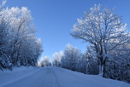 De route naar de noordelijke bergketen in de winter
