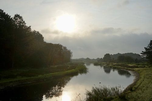 Morgen in den Amsterdamer Wasserdünen