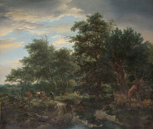 Bosgezicht, Jacob Isaacksz van Ruisdael, 1653