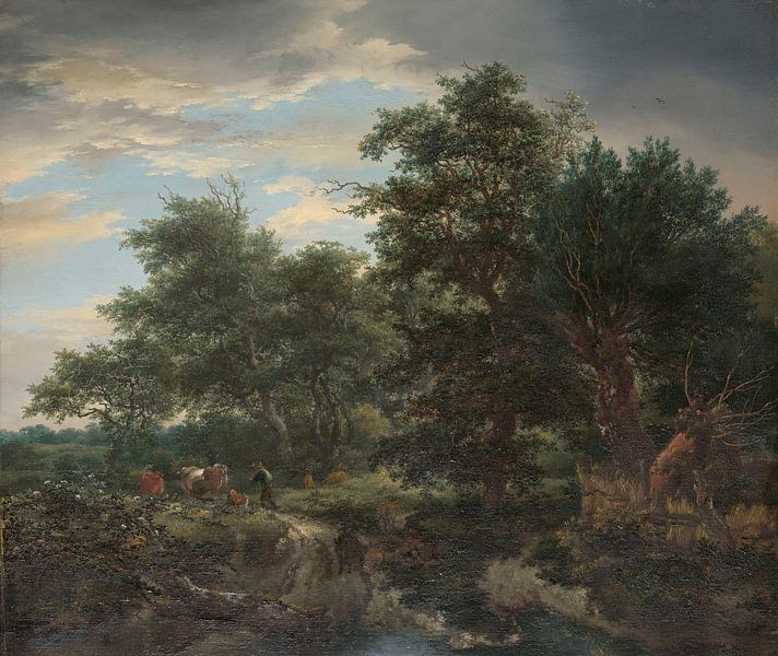 Bosgezicht, Jacob Isaacksz van Ruisdael, 1653 van Marieke de Koning