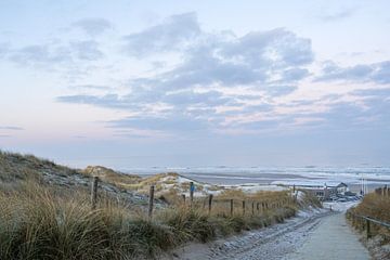 Naar de Zee tussen de duinen van Jos van den berg