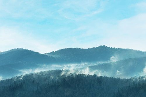 Morgen Nebel Baum Berg Wolken Natur Landschaft