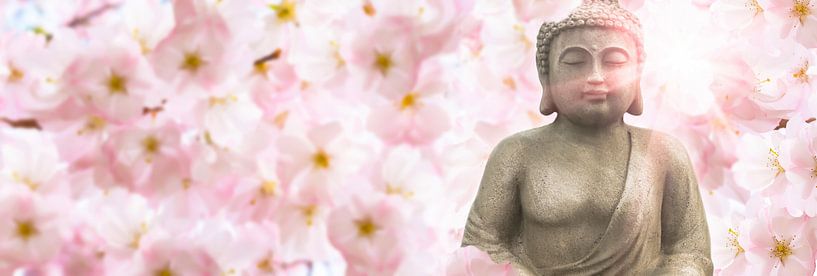 buddha in the cherry blossoms by Dörte Bannasch