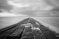 Belgian breakwater I black and white by Leo van Valkenburg thumbnail